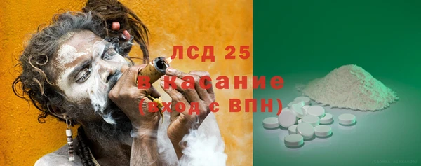 ГАЛЛЮЦИНОГЕННЫЕ ГРИБЫ Алексеевка