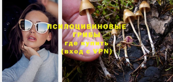 молекула духа Алзамай