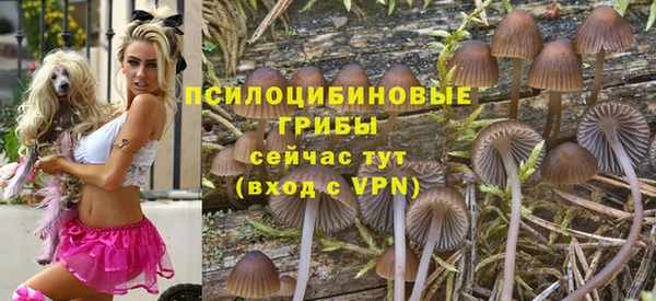 молекула духа Алзамай