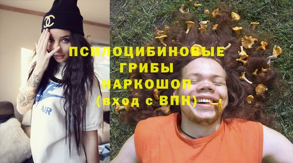 молекула духа Алзамай