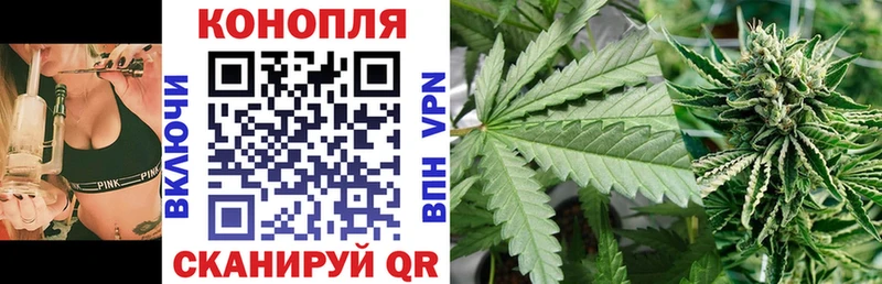 Купить где  Власиха  Марихуана White Widow 